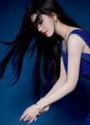 中国并未采纳集中清缴清欠税收等步履